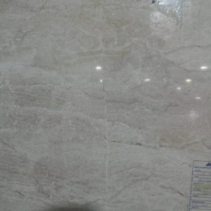 Escudo Marfil
